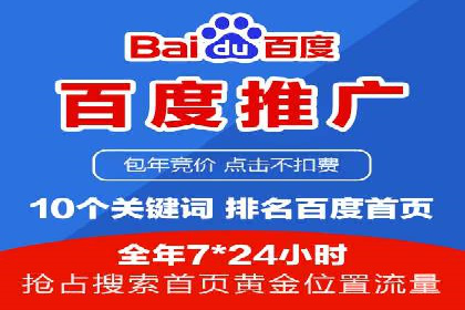 案例分析：百度推广成功案例解析